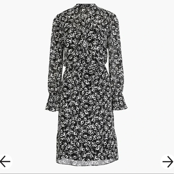 J. Crew Floral Chiffon Ruffle Sleeve Spring Prairie Tie Dress Small - Picture 2 of 8
